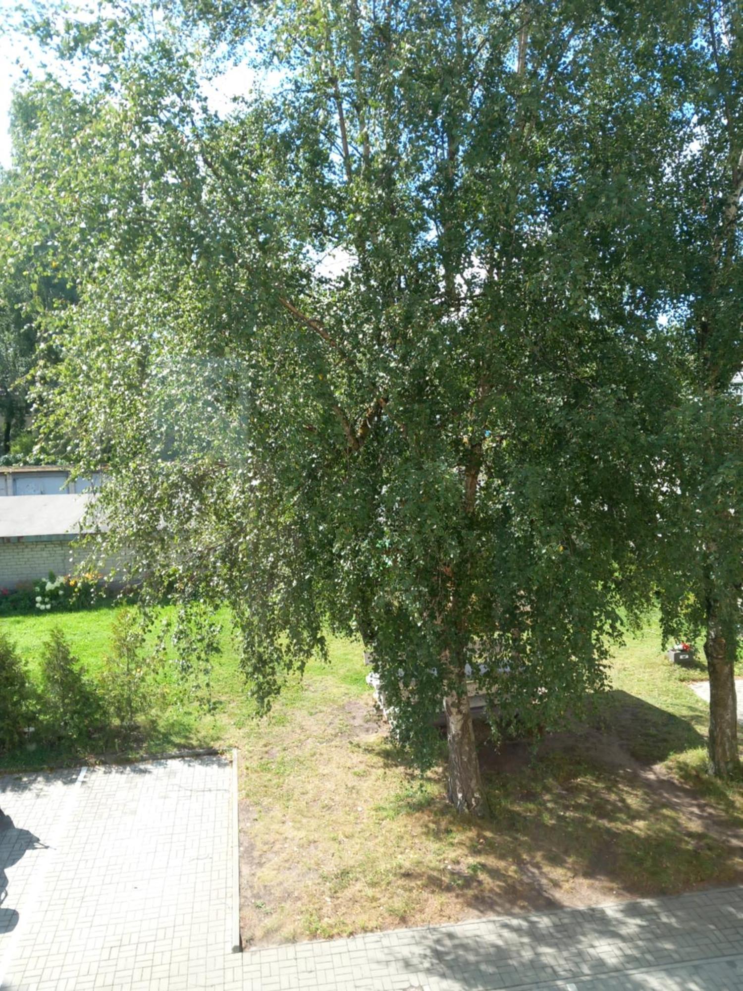 Warm Comfy * Tallinn